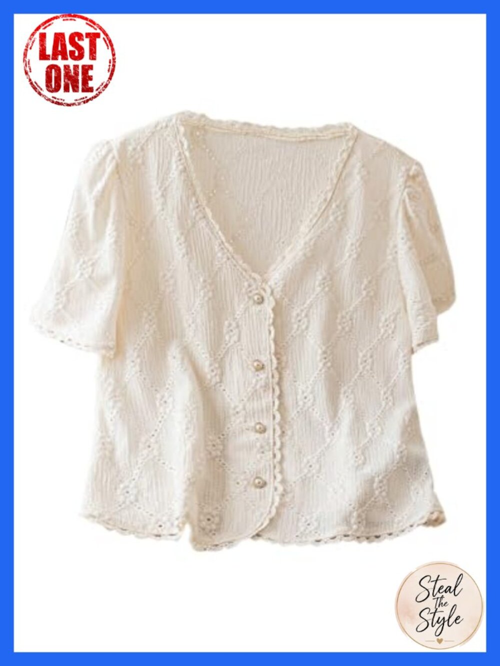 Floral Embroidered Button Down Blouse Puff Sleeve V Neck Frill Trim Blouse